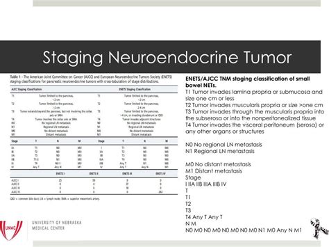 PPT - Review & Update Neuroendocrine Tumor Management PowerPoint ...