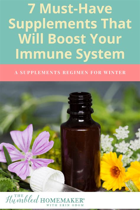 7 Must Have Supplements That Will Boost Your Immune System