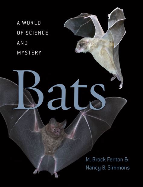 Bats A World Of Science And Mystery Fenton Simmons