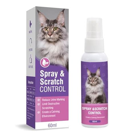 Spray Calmante Para Gatos Los Mejores Productos Comparados Wild