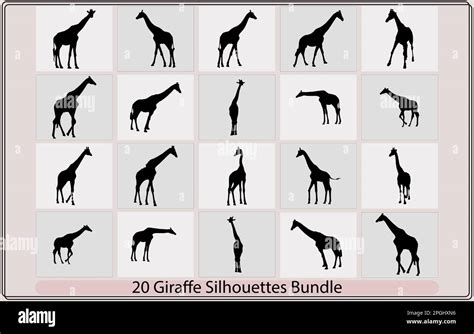 A Giraffe Animal Silhouette Setset Of Fine Giraffe Silhouettes Black