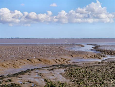 Water Outflow Onto Muddy Shore By Estuary Stock Image Image Of Bank