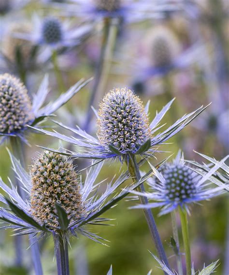 5 clever landscaping tricks that restored a 19th-century garden | Homes & Gardens