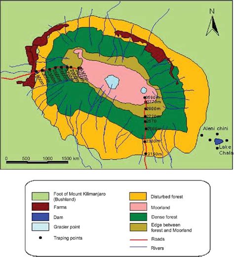 Figure 1 From Diversity And Distribution Of Rodent And Shrew Species