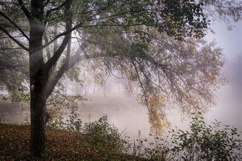 Neblina Ou Nevoeiro Matinal E Descida De Temperatura Para Os Pr Ximos