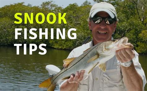 Snook Fishing: 23+ things Every Snook Angler (should know)