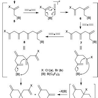 Reaction of allene with the halogenoboranes 2a and 2b | Download Scientific Diagram