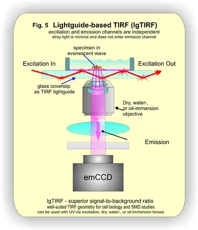 TIFR Microscopy – tirf-labs.com