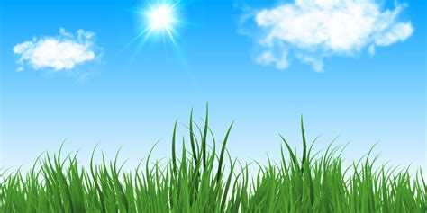 Green Background With Sun And Grass Vector Spring Background 16413107 Vector Art At Vecteezy