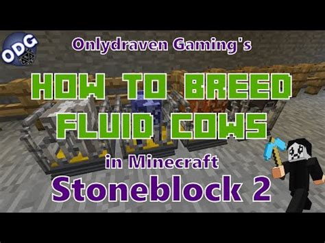 Minecraft Stoneblock How To Get To The Mining Dimension And The