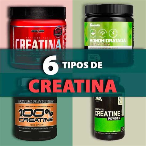 Que es la creatina La Guía de las Vitaminas