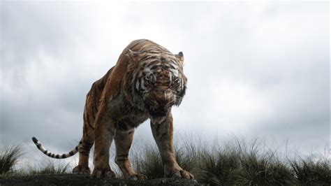 Image Shere Khan Disney 2016 Jungle Book Wiki Fandom