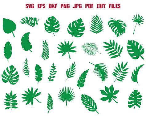 Tropical Leaves Svg Leaves Svg Leaf Svg Leaves Bundle Svg Palm Etsy