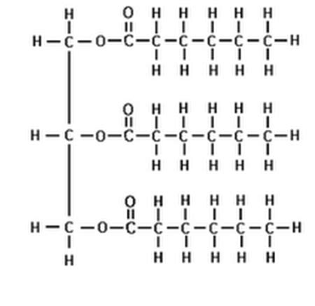 Bio Mock Lab Exam Corrections Flashcards Quizlet