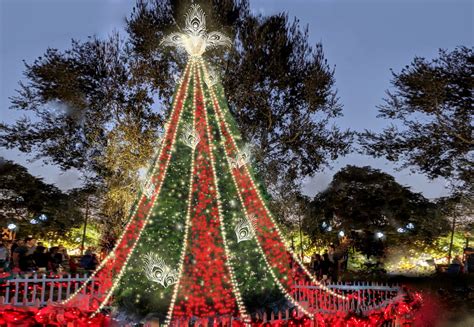 Winter Park Christmas Tree Lighting 2024 Carmon Myrtia