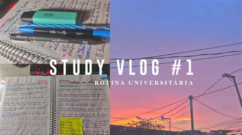 STUDY VLOG 1 organização assistindo anime rotina estudando