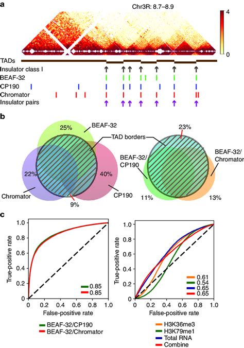 The Tads Are Demarcated By Pairs Of Insulator Proteins A The Locations