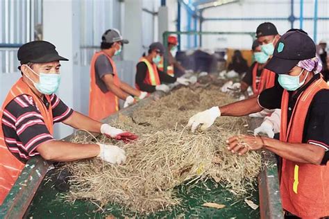 Pln Kembangkan Pembangkit Listrik Dari Sampah Dengan Kapasitas Mw