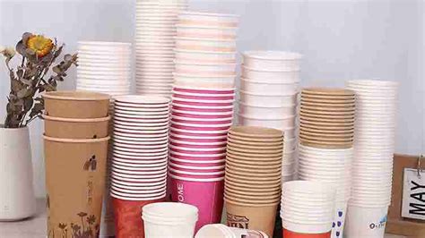 Are Paper Cups Good for the Environment?