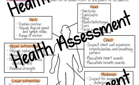 Nursing Student Head To Toe Assessment Cheat Sheet Sample Charting