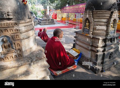 India Bihar Bodhgaya Monk Praying Before A Statue Of The Buddha Set