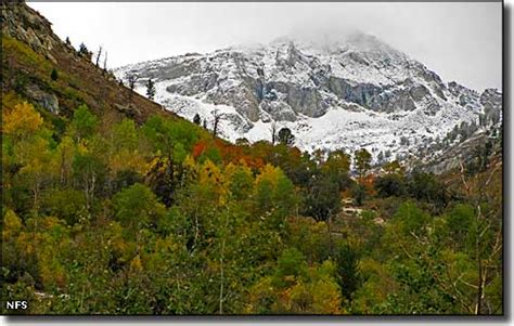 Lamoille Canyon Scenic Byway