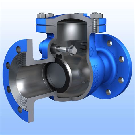 Din Swing Check Valve