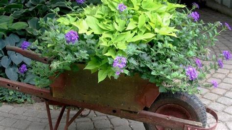 12 Creative Wheelbarrow Planter Ideas — Empress Of Dirt