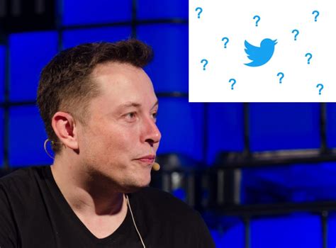 Elon Musk Promises To Hand Over Twitter Ceo Position To Whomever Can