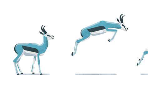 Springbok on Behance