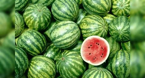 तरबूज खाने के फायदे Benefits Of Watermelon Hindi Gupsup