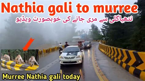 Nathia Gali To Murree Murree Live Today Nathiagali Today