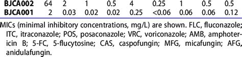 Antifungal Susceptibility Testing Of C Auris Strains Bjca And