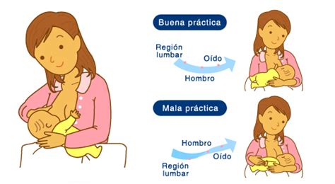 Cómo amamantar a tu bebé recién nacido Chile Vive