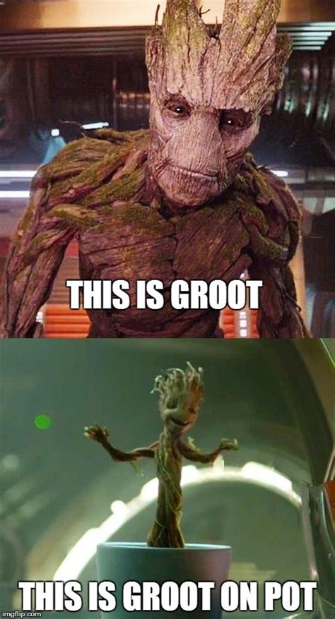 33 Funniest Groot Memes That Will Make Him The Most Adorable Character Memes Funny Groot