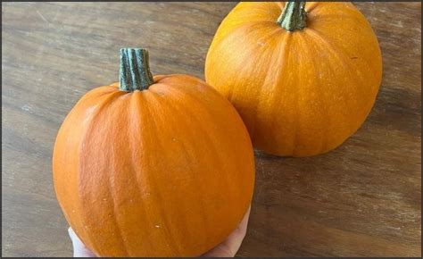 Pumpkin varieties for making homemade pies (2023)