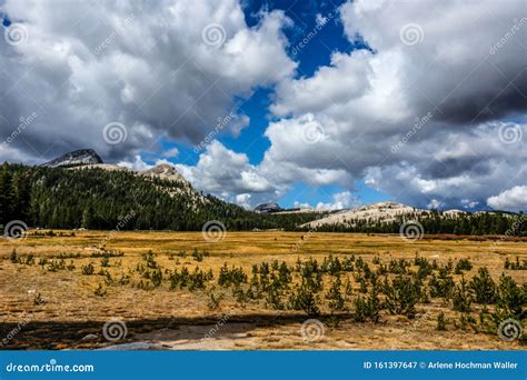 Yosemite National Park in the Tuolumne Meadows Area Stock Image - Image of tuolumne, national ...