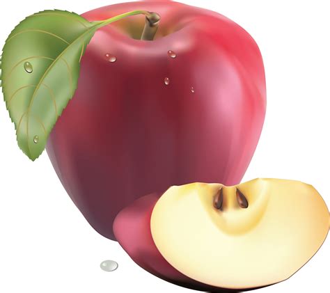 Png Apple Image Clipart Transparent Png Apple Transparent Hq Png