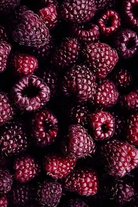 Raspberries Image 5177890 By Bobbym On