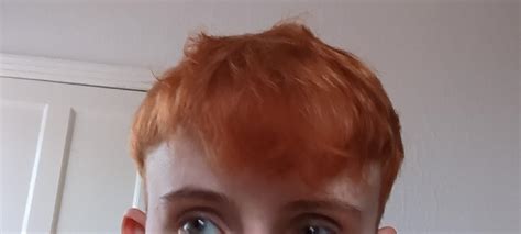 How do I make my orange hair look like a more natural ginger asap : r/HairDye