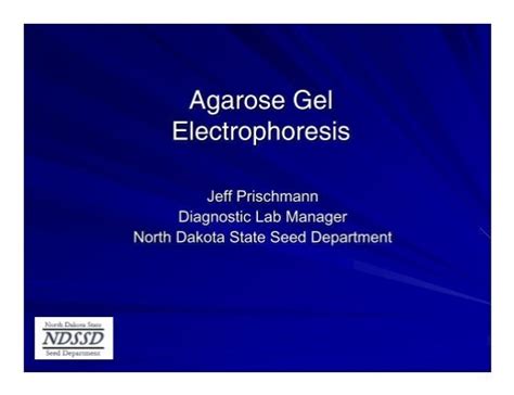 Agarose Gel Electrophoresis