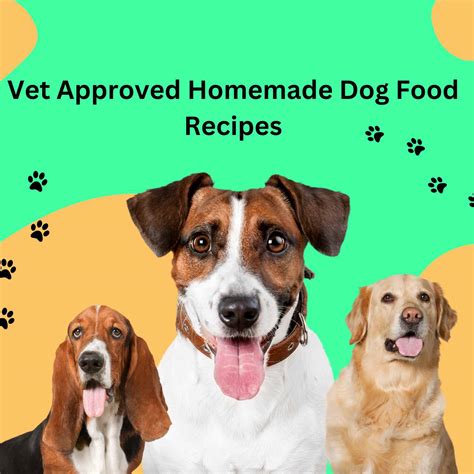 Vet Approved Homemade Dog Food Recipes for Kidney Disease