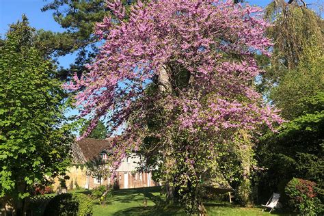 Galerie photos de la Résidence La Buissonnière à Compiègne