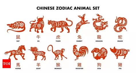 The Secrets Behind the Chinese Zodiac – The OBserver