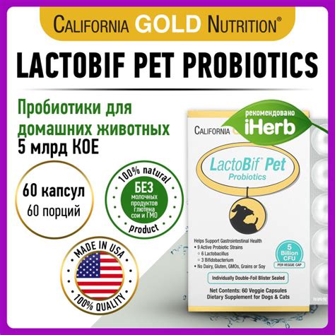 California Gold Nutrition Lactobif Pet Probiotics, Пробиотики для ...
