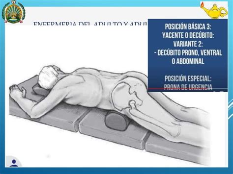 Posiciones Anatomicas Y Corporales Pptx