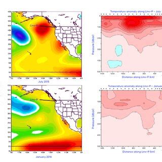 5: The left-hand panels show sea-surface temperature anomaly data ...