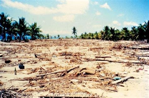 Kliping Bencana Alam Gempa Bumi Beserta Gambarnya Ilustrasi