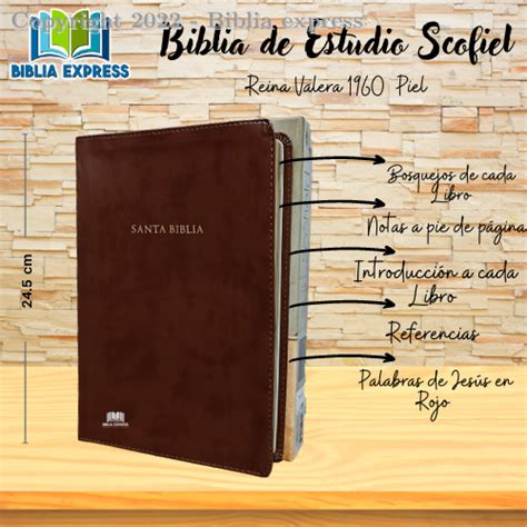 Biblia De Estudio Scofield Tapa Dura Rvr