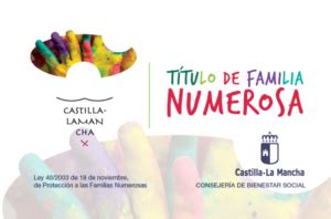 Tres De Cada Cuatro Familias Numerosas De Castilla La Mancha Tienen